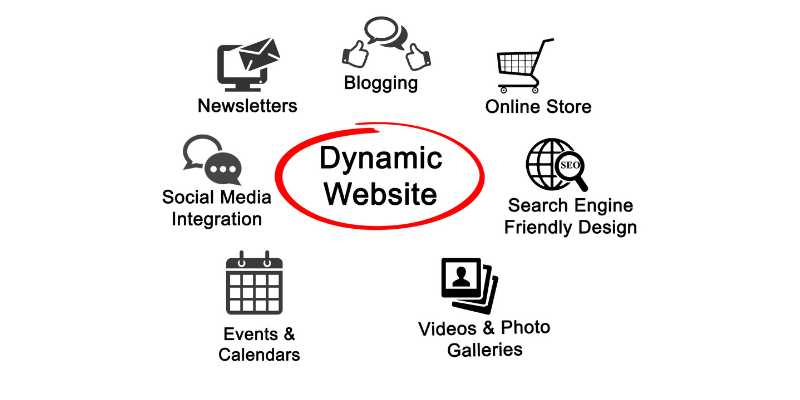 dynamic website in Kolkata